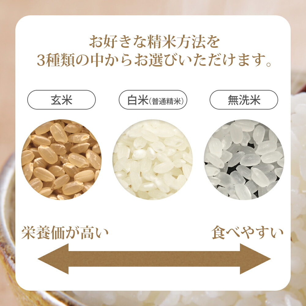 新米 令和7年産 山形県産 はえぬき 10kg 無洗米/白米/玄米 (5kg×2袋)  お米 10キロ おこめ コ