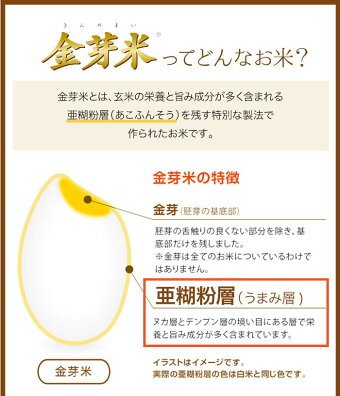 金芽米 ハイセレクト 9kg(4.5kg×2袋)【令和6年産】 国内産10割 無洗米 工場直送 送料無料 玄米の栄養を残した白米きんめまい ブレンド米　亜糊粉層（あこふんそう）国産玄米