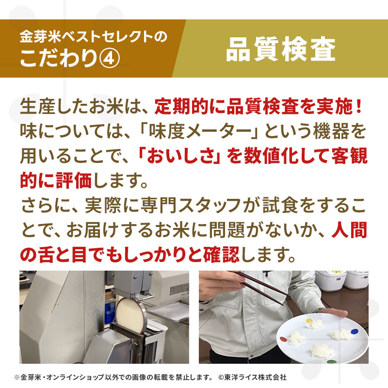 【ご愛顧感謝セール】令和7年産 金芽米 ベストセレクト 10kg(5kg×2袋) 送料無料 東洋ライス 玄米の栄養を残した白米無洗米 きんめまい オリジナル ブレンド米 国内産10割 工場直送 亜糊粉層 あこふんそう 国内産 １０kg