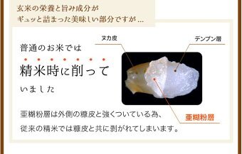金芽米 ハイセレクト 9kg(4.5kg×2袋)【令和6年産】 国内産10割 無洗米 工場直送 送料無料 玄米の栄養を残した白米きんめまい ブレンド米　亜糊粉層（あこふんそう）国産玄米