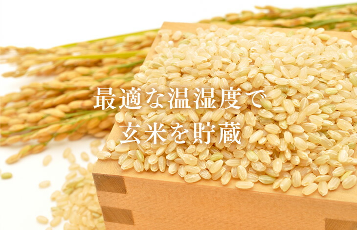 最適な温湿度で玄米を貯蔵