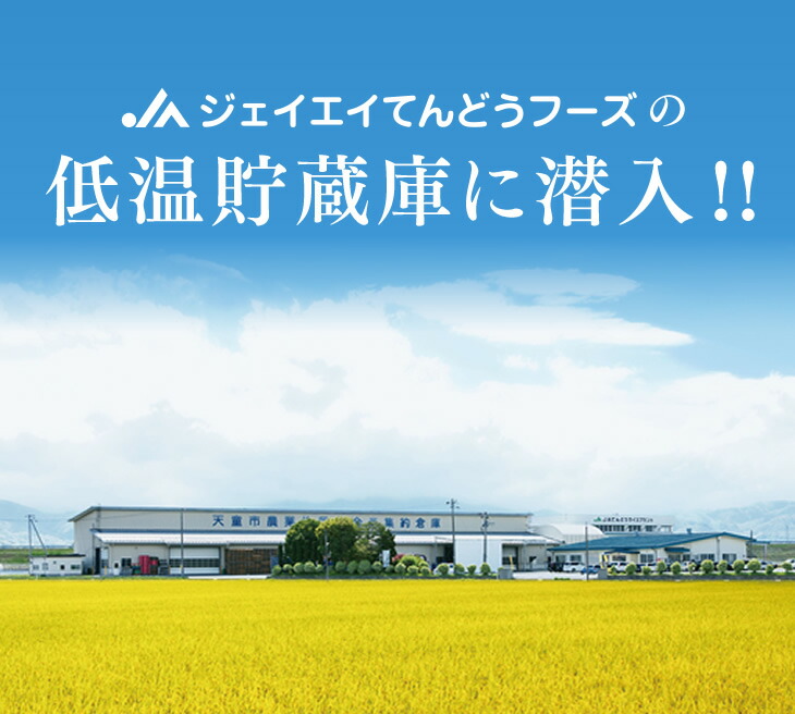 低温貯蔵庫に潜入!!