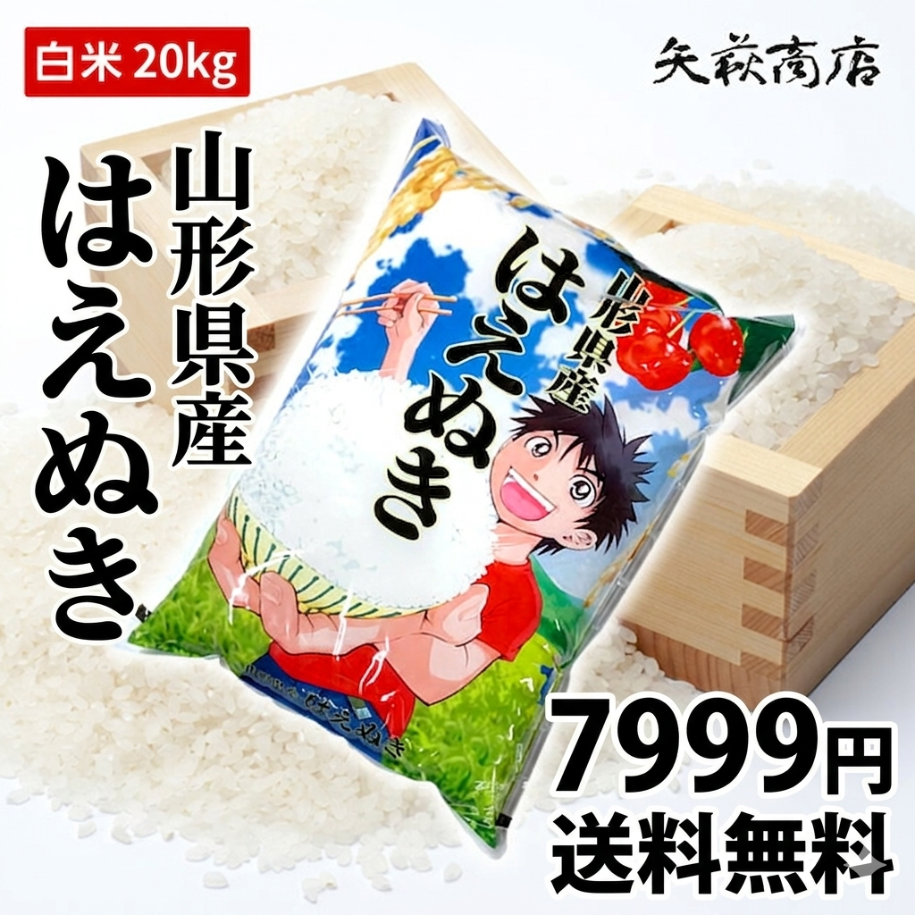 【送料無料】令和7年産 山形県産 はえぬき 白米20kg