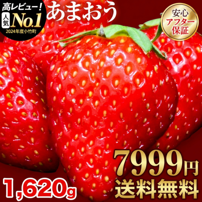 【ふるさと納税】【TVで紹介！】あまおういちご。1620gが今だけ7999円。定期購入も受付中。送料無料。発送時期は2月中旬～4月下旬。いちご。果物。産地：福岡県鞍手郡大竹町。