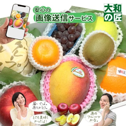 【順次発送可能★】【グルメ大賞受賞特別価格★5,940円→5,650円】 画像送信サービス ★ 厳選果物屋 フルーツギフト5500 送料無料 グルメ 果物 フルーツ 詰め合わせ 盛り合わせ 内祝 誕生日 御見舞 お見舞い サプライズ プレゼント ギフト 手土産 贈り物 贈答用