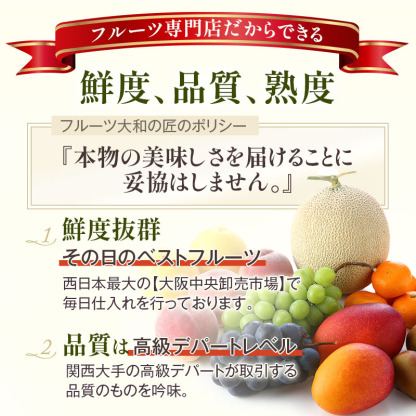 【順次発送可能★】【グルメ大賞受賞特別価格★5,940円→5,650円】 画像送信サービス ★ 厳選果物屋 フルーツギフト5500 送料無料 グルメ 果物 フルーツ 詰め合わせ 盛り合わせ 内祝 誕生日 御見舞 お見舞い サプライズ プレゼント ギフト 手土産 贈り物 贈答用