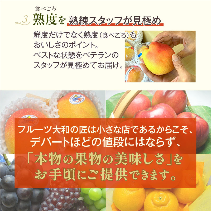 【順次発送可能★】【グルメ大賞受賞特別価格★5,940円→5,650円】 画像送信サービス ★ 厳選果物屋 フルーツギフト5500 送料無料 グルメ 果物 フルーツ 詰め合わせ 盛り合わせ 内祝 誕生日 御見舞 お見舞い サプライズ プレゼント ギフト 手土産 贈り物 贈答用