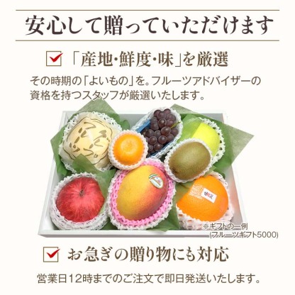 【順次発送可能★】【グルメ大賞受賞特別価格★5,940円→5,650円】 画像送信サービス ★ 厳選果物屋 フルーツギフト5500 送料無料 グルメ 果物 フルーツ 詰め合わせ 盛り合わせ 内祝 誕生日 御見舞 お見舞い サプライズ プレゼント ギフト 手土産 贈り物 贈答用