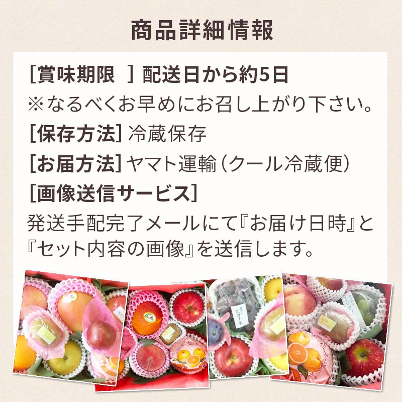 【順次発送可能★】【グルメ大賞受賞特別価格★5,940円→5,650円】 画像送信サービス ★ 厳選果物屋 フルーツギフト5500 送料無料 グルメ 果物 フルーツ 詰め合わせ 盛り合わせ 内祝 誕生日 御見舞 お見舞い サプライズ プレゼント ギフト 手土産 贈り物 贈答用