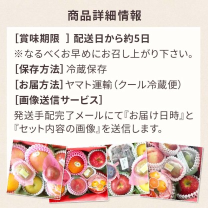 【順次発送可能★】【グルメ大賞受賞特別価格★5,940円→5,650円】 画像送信サービス ★ 厳選果物屋 フルーツギフト5500 送料無料 グルメ 果物 フルーツ 詰め合わせ 盛り合わせ 内祝 誕生日 御見舞 お見舞い サプライズ プレゼント ギフト 手土産 贈り物 贈答用