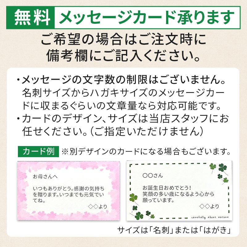 【順次発送可能★】【グルメ大賞受賞特別価格★5,940円→5,650円】 画像送信サービス ★ 厳選果物屋 フルーツギフト5500 送料無料 グルメ 果物 フルーツ 詰め合わせ 盛り合わせ 内祝 誕生日 御見舞 お見舞い サプライズ プレゼント ギフト 手土産 贈り物 贈答用