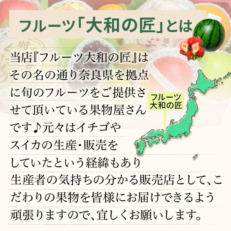 【順次発送可能★】【グルメ大賞受賞特別価格★5,940円→5,650円】 画像送信サービス ★ 厳選果物屋 フルーツギフト5500 送料無料 グルメ 果物 フルーツ 詰め合わせ 盛り合わせ 内祝 誕生日 御見舞 お見舞い サプライズ プレゼント ギフト 手土産 贈り物 贈答用