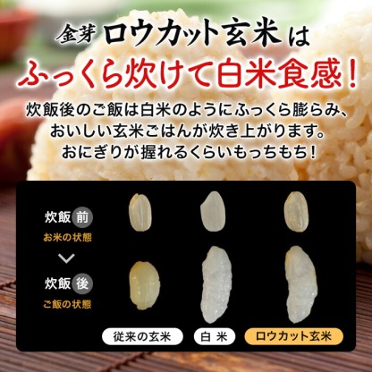 金芽ロウカット玄米 8kg(2kg ×4袋) 令和7年産 無洗米 無洗米 工場直送 糖質 カロリーオフ 無洗米玄米 白米モードで炊飯できる 玄米 送料無料 東洋ライス公式 美味しく食べやすい玄米！
