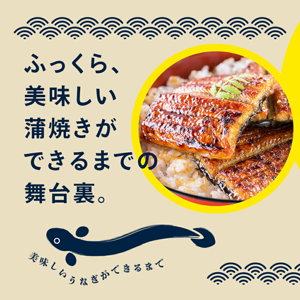 ＼大容量でお買い得／ うなぎ 国産 かわすい 【楽天1位の極上鰻】 うなぎ蒲焼き 送料無料 蒲焼きカットメガ盛り 1kgセット 定期便 【うなぎ屋かわすい】 グルメ ウナギ 鰻 蒲焼き ひつまぶし うな丼 誕生日プレゼント 冷凍 食べ物 贈答 高級