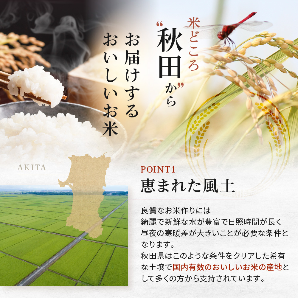 令和7年産 秋田県産 あきたこまち 20kg 白米 精米 お米【送料無料】