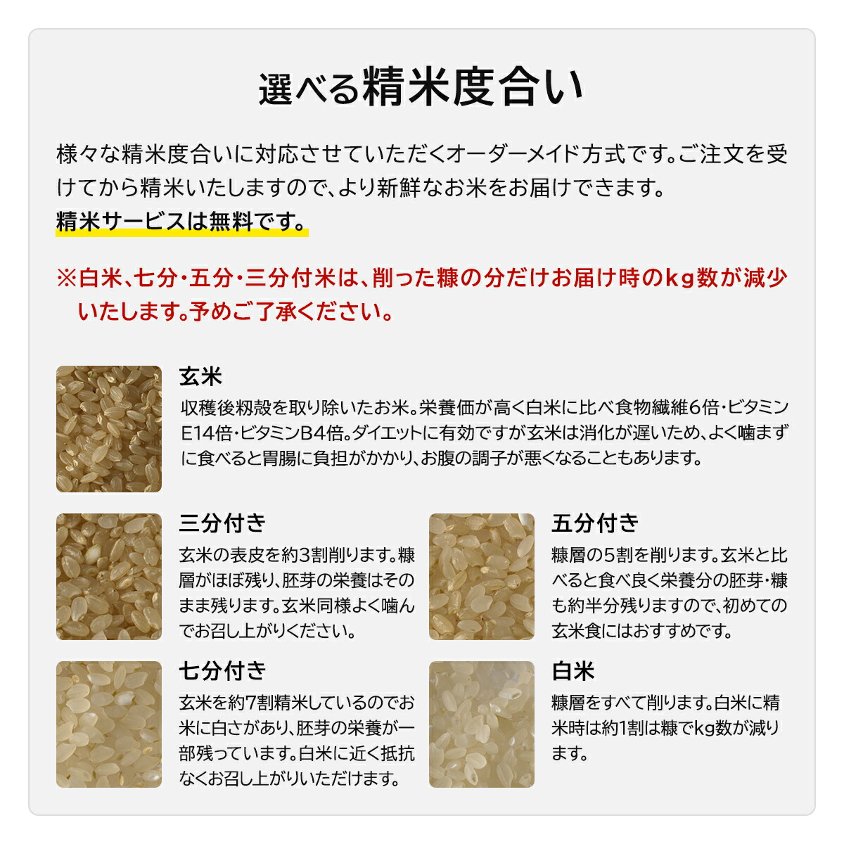 特別栽培米 京都府 丹後産 コシヒカリ 米 10kg 送料無料 令和7年産 お米 分つき米 玄米