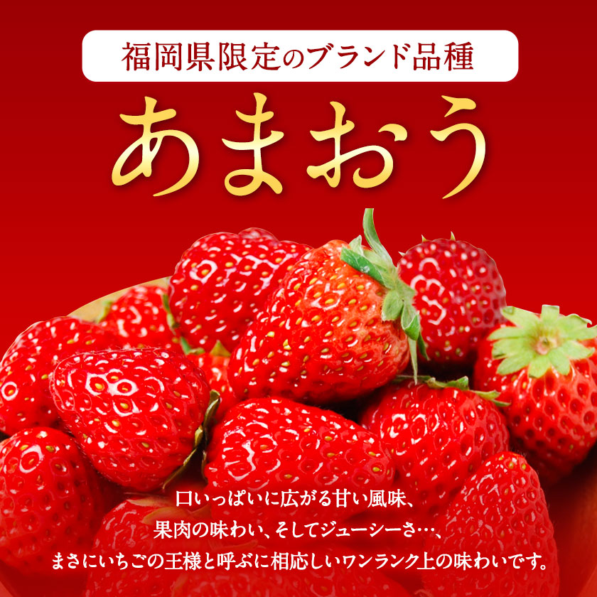 【ふるさと納税】【TVで紹介！】あまおういちご。1620gが今だけ7999円。定期購入も受付中。送料無料。発送時期は2月中旬～4月下旬。いちご。果物。産地：福岡県鞍手郡大竹町。