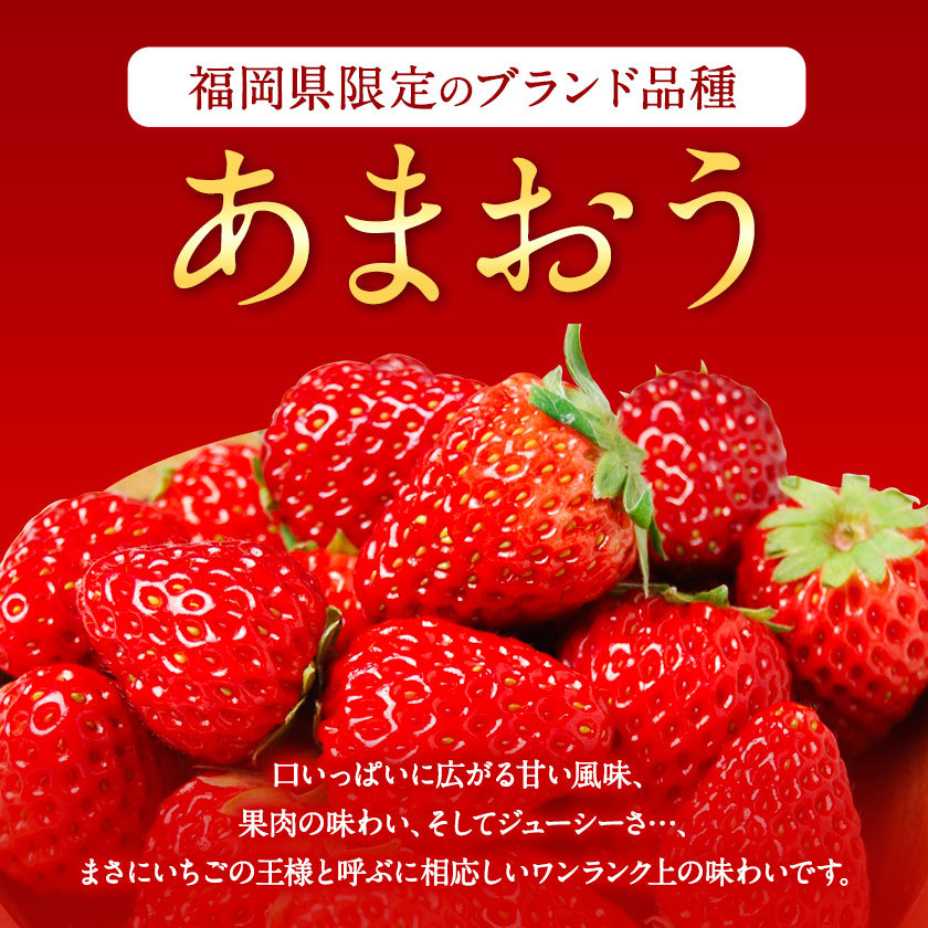 【ふるさと納税】【TVで紹介！】あまおういちご。1620gが今だけ7999円。定期購入も受付中。送料無料。発送時期は2月中旬～4月下旬。いちご。果物。産地：福岡県鞍手郡大竹町。
