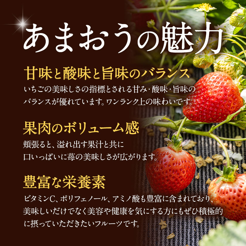 【ふるさと納税】【TVで紹介！】あまおういちご。1620gが今だけ7999円。定期購入も受付中。送料無料。発送時期は2月中旬～4月下旬。いちご。果物。産地：福岡県鞍手郡大竹町。