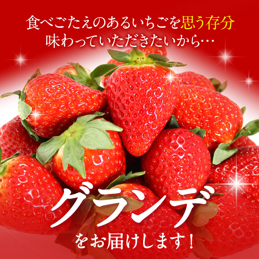【ふるさと納税】【TVで紹介！】あまおういちご。1620gが今だけ7999円。定期購入も受付中。送料無料。発送時期は2月中旬～4月下旬。いちご。果物。産地：福岡県鞍手郡大竹町。
