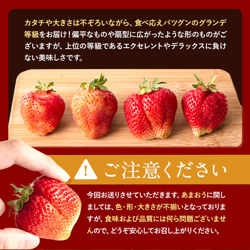 【ふるさと納税】【TVで紹介！】あまおういちご。1620gが今だけ7999円。定期購入も受付中。送料無料。発送時期は2月中旬～4月下旬。いちご。果物。産地：福岡県鞍手郡大竹町。