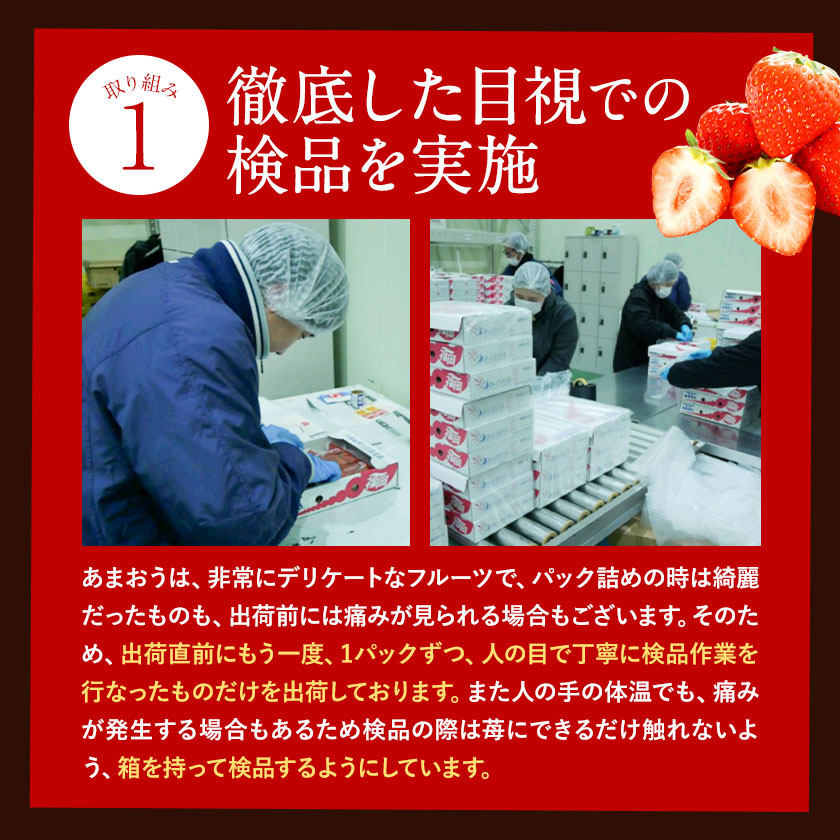 【ふるさと納税】【TVで紹介！】あまおういちご。1620gが今だけ7999円。定期購入も受付中。送料無料。発送時期は2月中旬～4月下旬。いちご。果物。産地：福岡県鞍手郡大竹町。