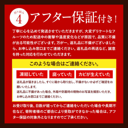 【ふるさと納税】【TVで紹介！】あまおういちご。1620gが今だけ7999円。定期購入も受付中。送料無料。発送時期は2月中旬～4月下旬。いちご。果物。産地：福岡県鞍手郡大竹町。