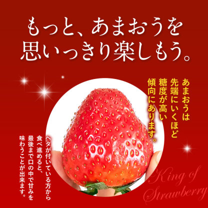 【ふるさと納税】【TVで紹介！】あまおういちご。1620gが今だけ7999円。定期購入も受付中。送料無料。発送時期は2月中旬～4月下旬。いちご。果物。産地：福岡県鞍手郡大竹町。