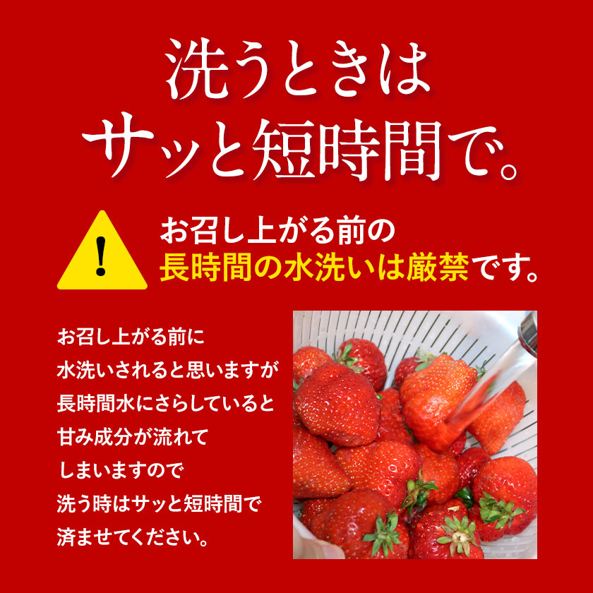 【ふるさと納税】【TVで紹介！】あまおういちご。1620gが今だけ7999円。定期購入も受付中。送料無料。発送時期は2月中旬～4月下旬。いちご。果物。産地：福岡県鞍手郡大竹町。