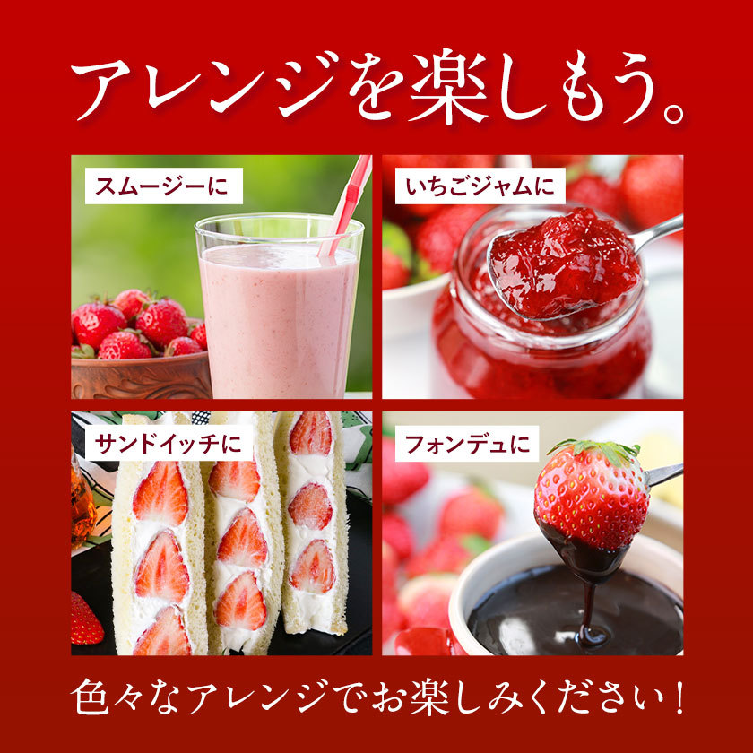 【ふるさと納税】【TVで紹介！】あまおういちご。1620gが今だけ7999円。定期購入も受付中。送料無料。発送時期は2月中旬～4月下旬。いちご。果物。産地：福岡県鞍手郡大竹町。