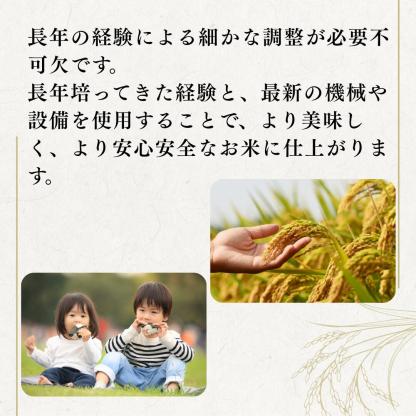「クーポン適用後わずか5,999円（5,481円引き）」— 2025年新米ミックスライス：「極み」プレミアム精米（20kg）｜白米｜全国送料無料（北海道、沖縄、離島を含む）｜お手頃価格のミックスライス｜経済的な主食｜備蓄に最適｜（無添加）