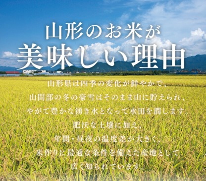 ＼エントリーでP5倍＆クーポン利用で7999円／ お米 米 コメ 20kg 送料無料 令和7年 山形県産 つや姫 20kg(5kg×4) 精米