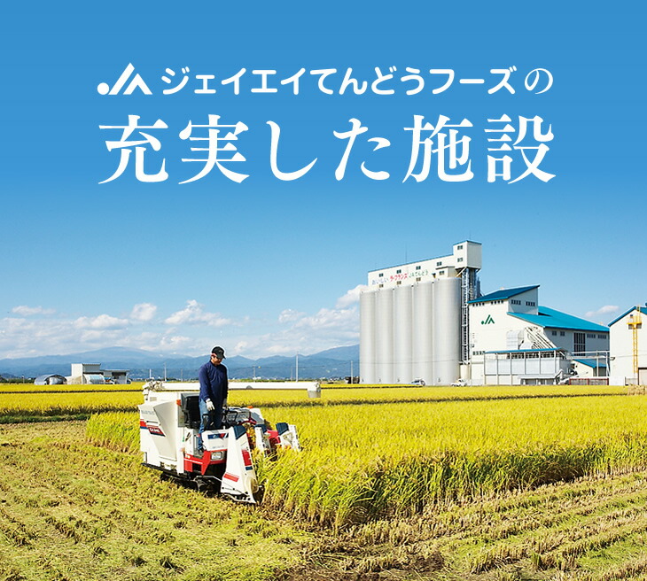＼エントリーでP5倍＆クーポン利用で7999円／ お米 米 コメ 20kg 送料無料 令和7年 山形県産 つや姫 20kg(5kg×4) 精米