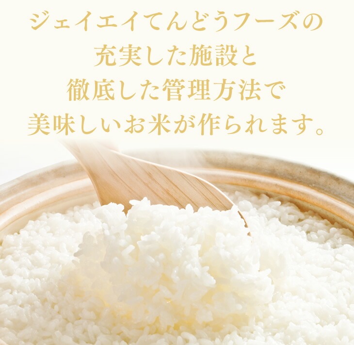 ＼エントリーでP5倍＆クーポン利用で7999円／ お米 米 コメ 20kg 送料無料 令和7年 山形県産 つや姫 20kg(5kg×4) 精米