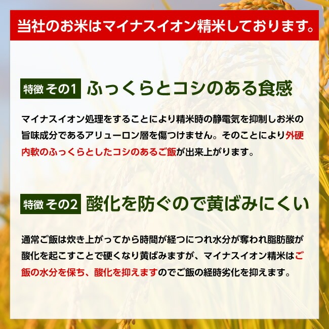 【送料無料】令和7年産 山形県産 はえぬき 白米20kg