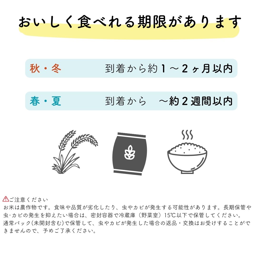 楽天ランキング受賞米10kg送料無料白米訳あり米産直のお米5kg×2袋セット低温精米新米入生活応援家計応援米安い米10キロコメ白米お米10kg送料無料産地直送コメおこめ備蓄複数原料ブレンド米ライスごはんご飯白飯ブレンド米低温製法コールド