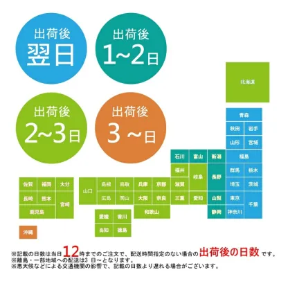 楽天SOY2025大賞受賞記念特価 福島県産コシヒカリ 白米 5kg10kg 20kg 30kg 令和7年産 送料無料 白米 5kg 白米 10kg 白米 20kg 白米 30kg 米 お米