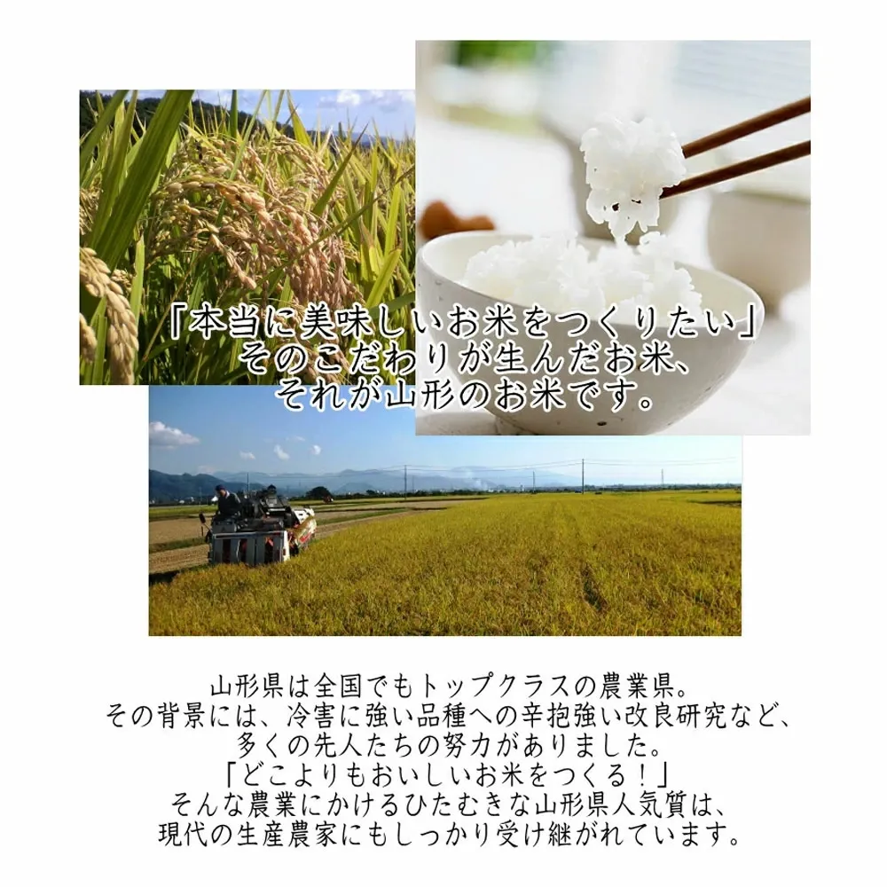 楽天ランキング受賞 米 米屋仕立て (5kg×2袋) 安くて美味しいコメ 白米 精米 お米 こめ おこめ