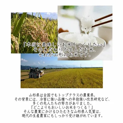 楽天ランキング受賞 米 米屋仕立て (5kg×2袋) 安くて美味しいコメ 白米 精米 お米 こめ おこめ