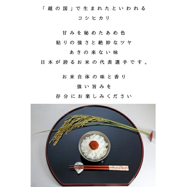 楽天SOY2025大賞受賞記念特価 福島県産コシヒカリ 白米 5kg10kg 20kg 30kg 令和7年産 送料無料 白米 5kg 白米 10kg 白米 20kg 白米 30kg 米 お米
