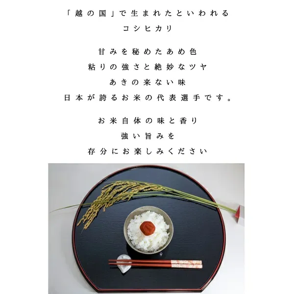 楽天SOY2025大賞受賞記念特価 福島県産コシヒカリ 白米 5kg10kg 20kg 30kg 令和7年産 送料無料 白米 5kg 白米 10kg 白米 20kg 白米 30kg 米 お米