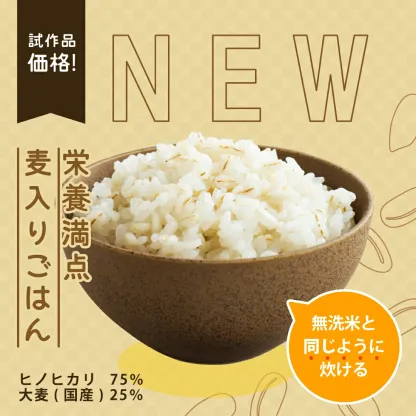 【グルメ大賞受賞！】米 白米 無洗米 10kg 送料無料 ヒノヒカリ 熊本県産 令和7年産 ひのひかり 米 10kg 送料無料 白米 お米