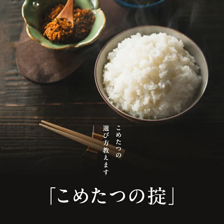【グルメ大賞受賞！】米 白米 無洗米 10kg 送料無料 ヒノヒカリ 熊本県産 令和7年産 ひのひかり 米 10kg 送料無料 白米 お米