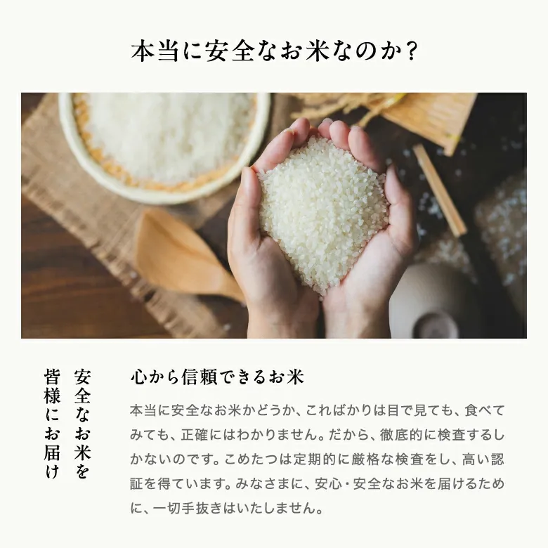 【グルメ大賞受賞！】米 白米 無洗米 10kg 送料無料 ヒノヒカリ 熊本県産 令和7年産 ひのひかり 米 10kg 送料無料 白米 お米