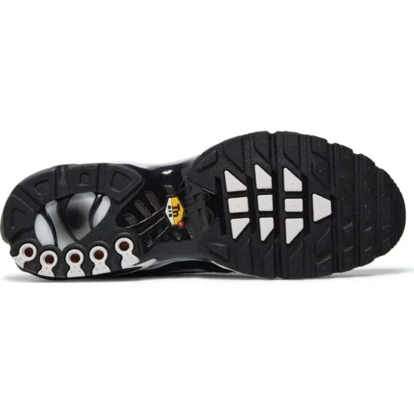 Air Max Plus ‘Black Metallic Silver’