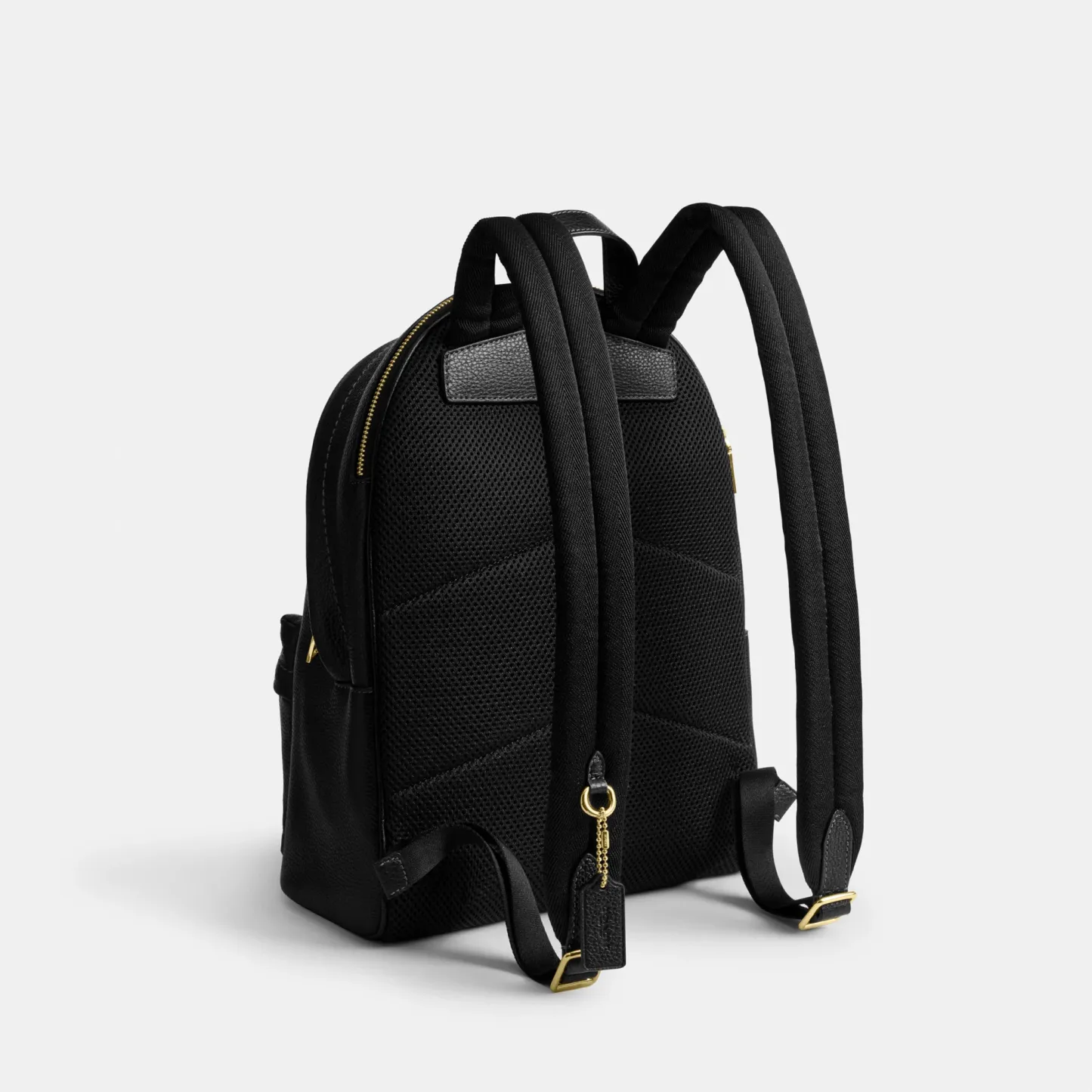 COACH®,Taylor Small Backpack,Recycled Polyester,Leather,Lining Recycled Polyester,Polyester,Backpack,Metal,Logo,Lined,Padd...,Black,Angle View