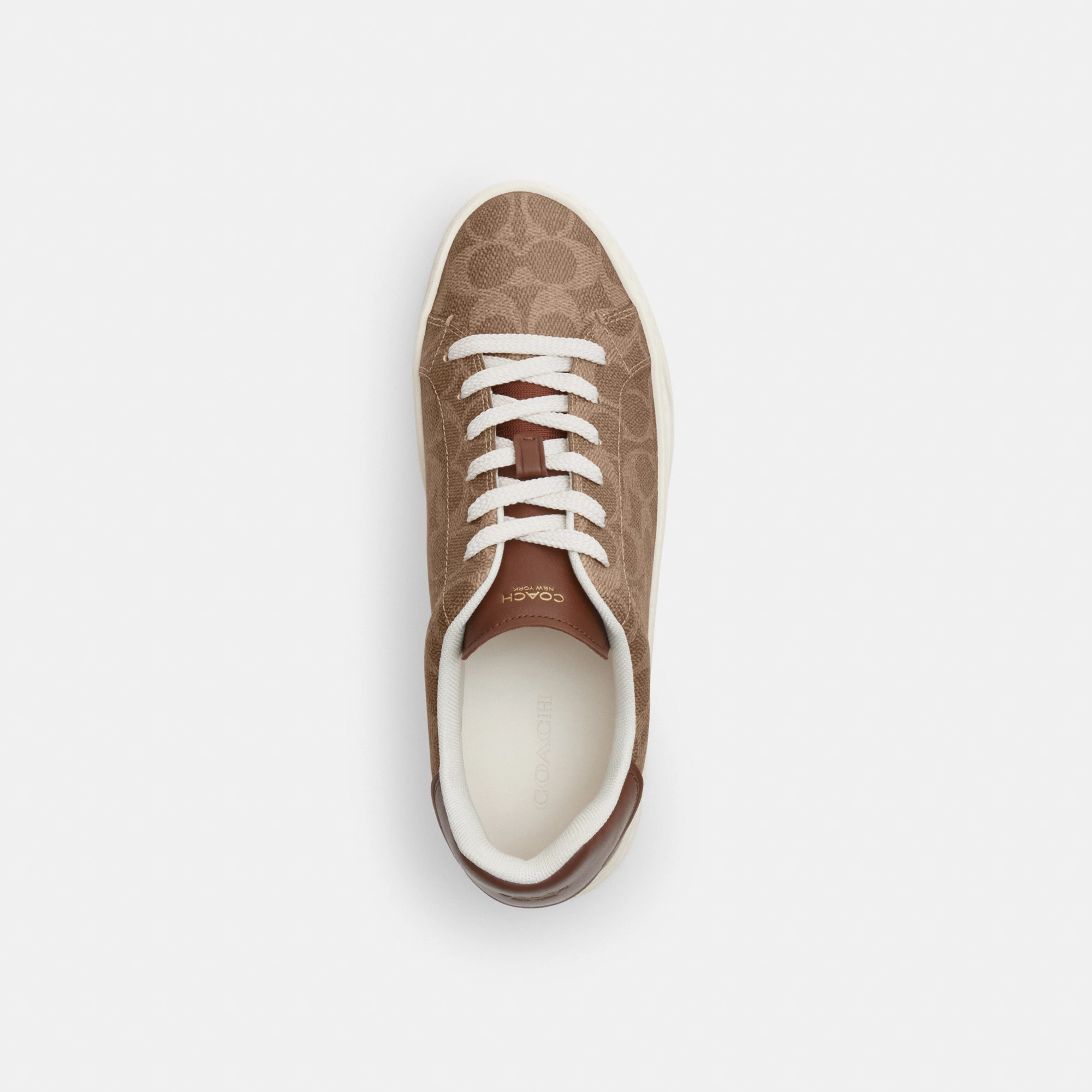 COACH®,High Line Sneaker In Signature Canvas,EVA,Canvas,Leather,Casual,Fabric,Logo,Pull Tab,Casual,Brown,Inside View,Top View