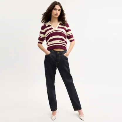 COACH®,Striped Knit Polo,Maroon,Scale View
