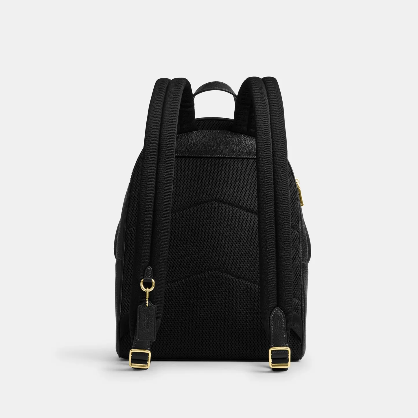 COACH®,Taylor Small Backpack,Recycled Polyester,Leather,Lining Recycled Polyester,Polyester,Backpack,Metal,Logo,Lined,Padd...,Black,Back View