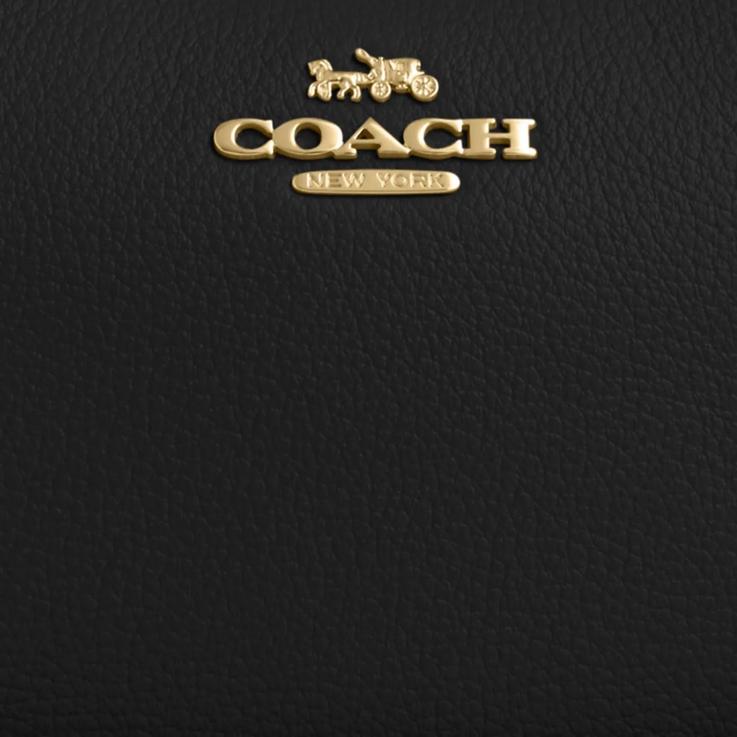 COACH®,Teri Shoulder Bag,Shoulder Bag,Chain Detail,Metal,Logo,Casual,Black,Closer View